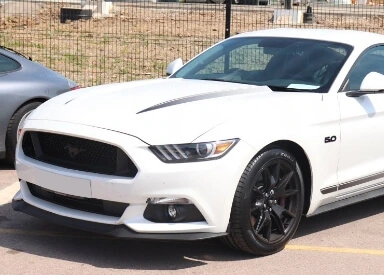 2022 Ford Mustang GT Fastback RWD ford mustang 3