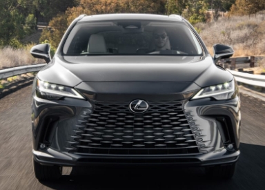 2021 Lexus RX lexus rx 6