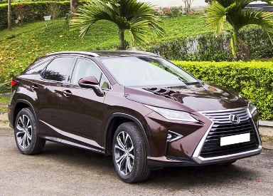 2020 Lexus RX lexus rx 7